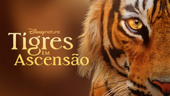 Tigres em Ascensão (2024)