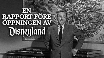 En rapport före öppningen av Disneyland (1955)