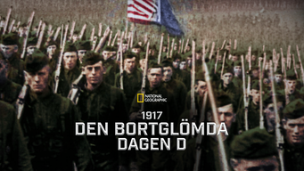 1917 - Den bortglömda dagen D (2017)