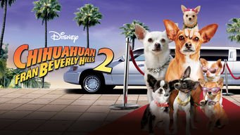 Chihuahuan från Beverly Hills 2 (2011)