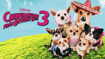 Chihuahuan från Beverly Hills 3 (2012)