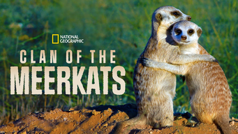 Clan of the Meerkats (2011)