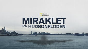 Miraklet på Hudsonfloden (2014)