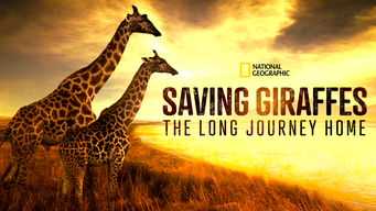 Saving Giraffes: The Long Journey Home (2022)