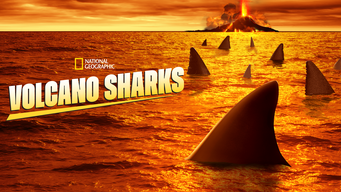 Volcano Sharks (2020)