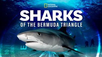 Sharks of The Bermuda Triangle (2020)