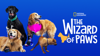 The Wizard of Paws (2021)