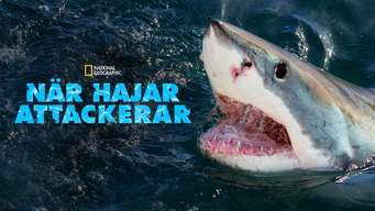 När hajar attackerar (2013)