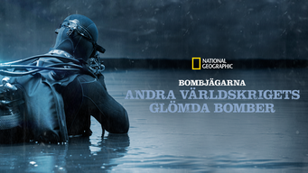 Bombjägarna: Andra världskrigets glömda bomber (2020)