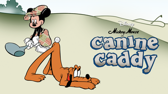 Canine Caddy (1941)