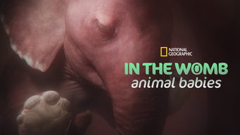In The Womb: Animal Babies (2022)