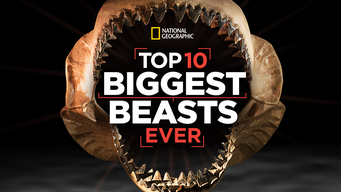 Top 10 Biggest Beasts Ever (3000)