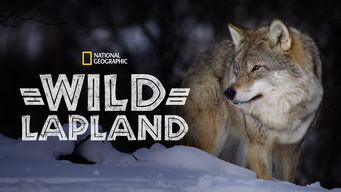 Wild Lapland (2020)