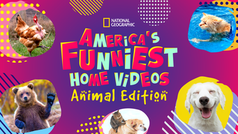America's Funniest Home Videos: Animal Edition (2021)