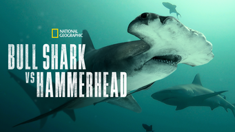 Bull Shark vs. Hammerhead (2023)