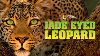 Jade Eyed Leopard (2020)