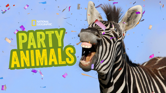 Party Animals (2016)