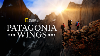 Patagonia Wings (2021)