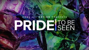 PRIDE | To Be Seen: A Soul of a Nation Presentation (2022)