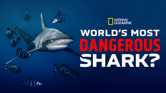World's Most Dangerous Shark? (2021)