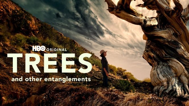 Trees And Other Entanglements 2022 Hbo Max Flixable 0586