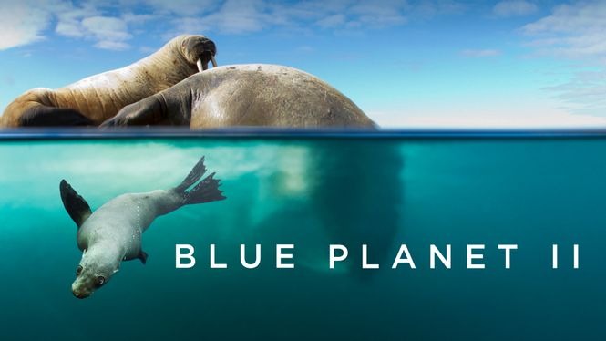 Blue Planet Ii (2017) - Hbo Max 