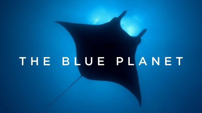 the blue planet sea of life
