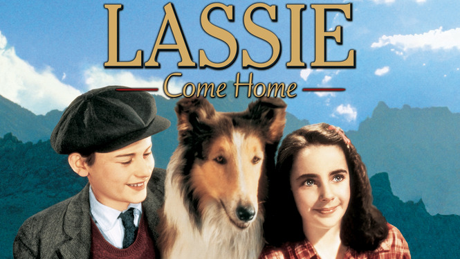 How to watch and stream Lassie Come Home - 1943 on Roku