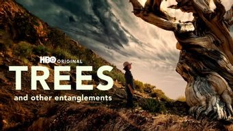 Trees and Other Entanglements (2022)