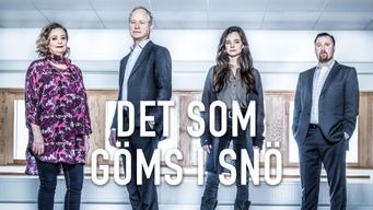 Skjult av snø (2018)