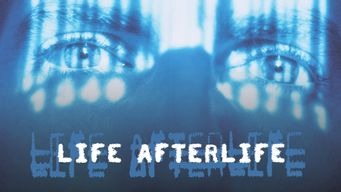 Life Afterlife: America Undercover (1999)