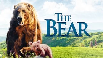The Bear (1989)