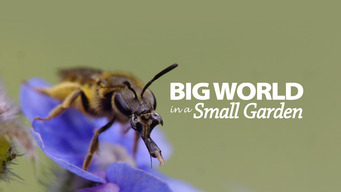 Big World In A Small Garden (2016)