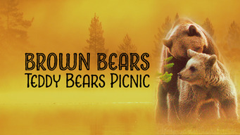 Brown Bears - Teddy Bears Picnic (2020)