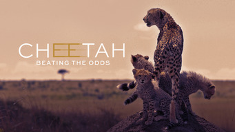 Cheetah: Beating the Odds (2020)