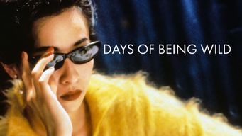 Days of Being Wild (1991)