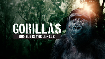 Gorillas Rumble In The Jungle (2020)