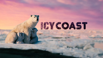 Icy Coast (2020)