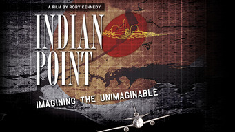 Indian Point: Imagining the Unimaginable (2004)
