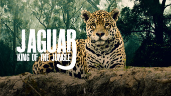 Jaguar: King of the Jungle (2020)