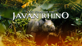Last Stand Of The Javan Rhino (2020)