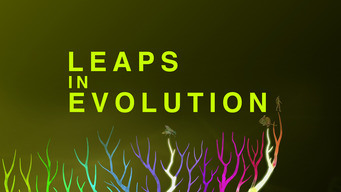 Leaps In Evolution (2015)