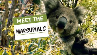 Meet the Marsupials (2020)