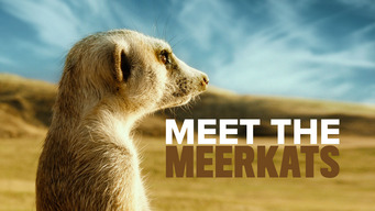 Meet the Meerkats (2020)