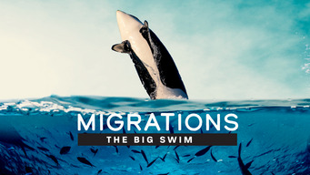 Migrations: The Big Swim (2020)