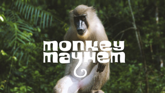 Monkey Mayhem (2020)