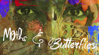 Moths & Butterflies (2019)