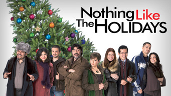 Nothing Like the Holidays (2008)