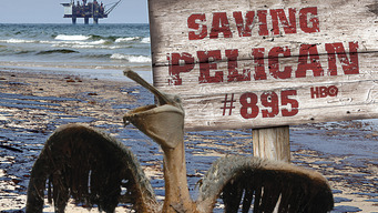 Saving Pelican 895 (2011)