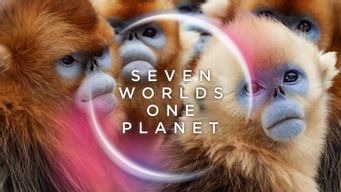 Seven Worlds, One Planet (2020)